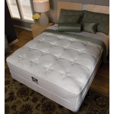 Twin Plush Mattress and Box Spring